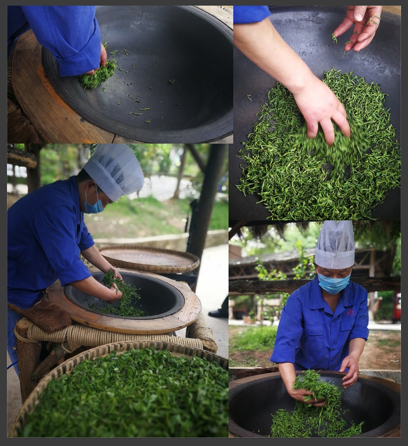 【青城山当地玩乐】情侣亲子青城山采茶制茶体验青城道茶观光园半日游