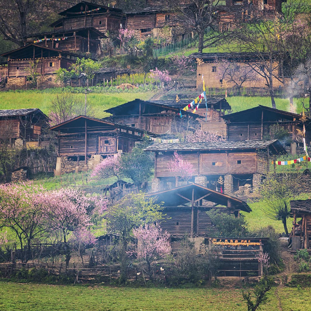 雾里村 察瓦龙 甲应村 察隅 然乌湖 来古冰川 鲁朗 林芝 墨竹工卡)