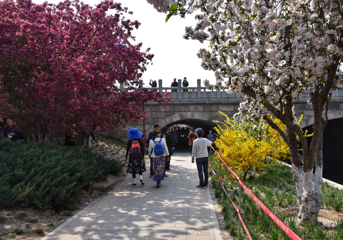 元大都遗址公园"海棠花溪",北京自助游攻略 - 马蜂窝