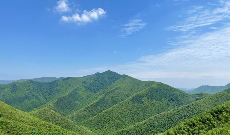 2人起订常州溧阳天目湖山水园南山竹海纯玩一日游