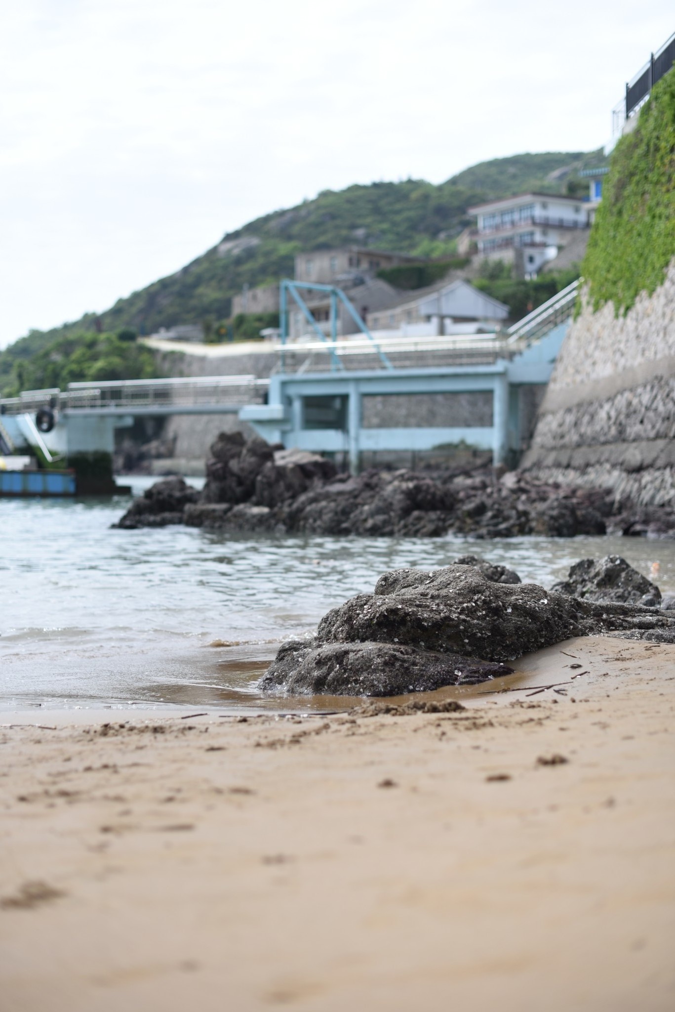 千岛湖舟山虾峙岛朱家尖宁波的五一小众玩法