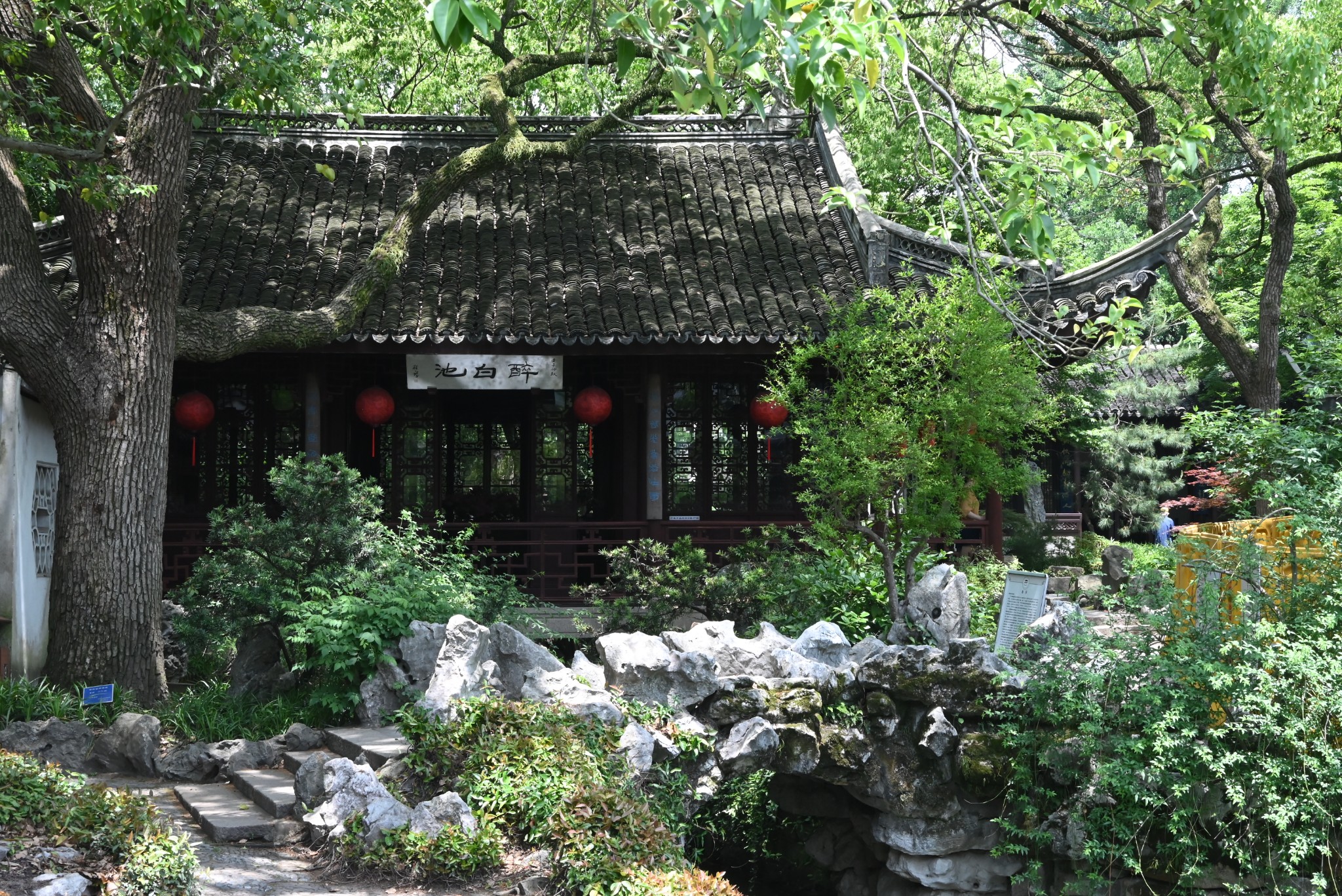 方塔公园,醉白池,三十多年后重游,松江旅游攻略 - 马