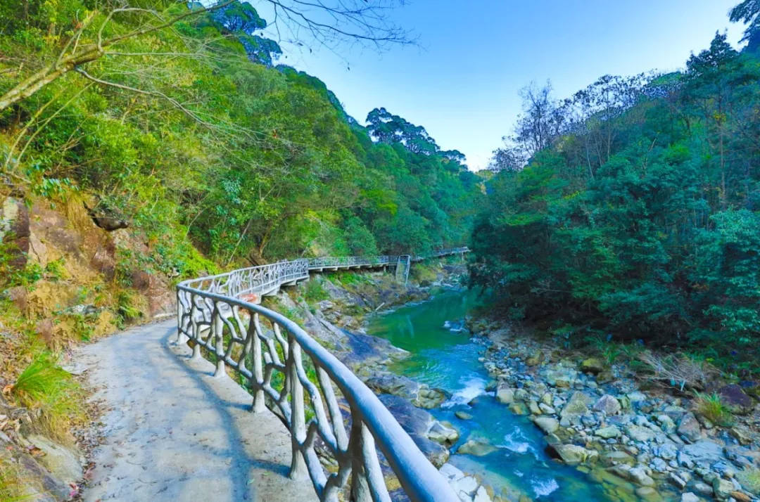 三清山逍遥谷景区成人票