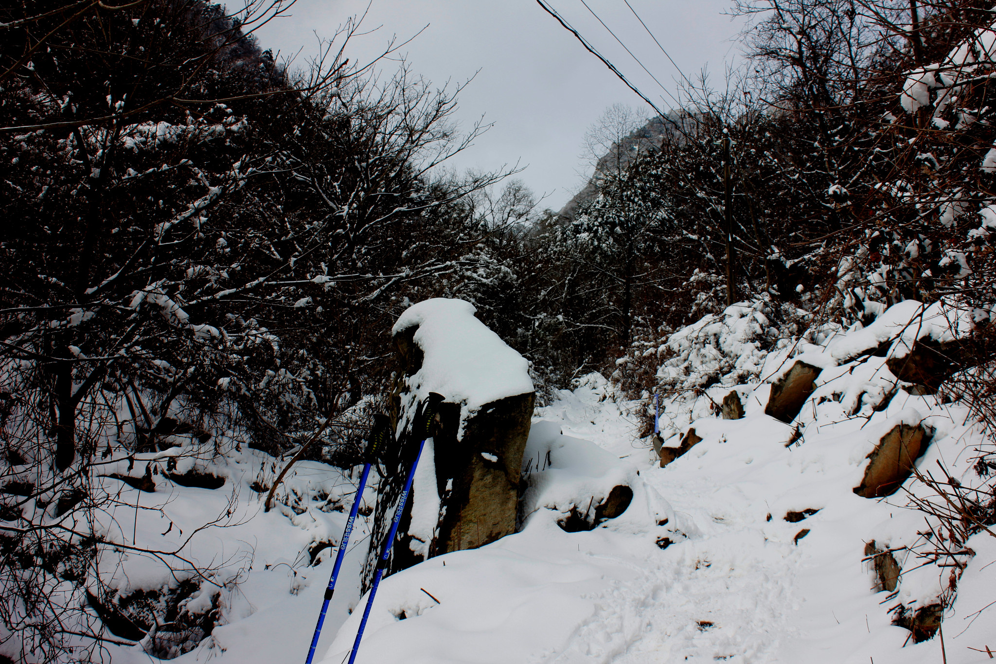 春季秦岭有雪景