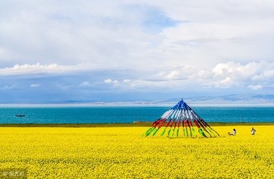 青海湖 金银滩 茶卡盐湖 祁连 门源3日游