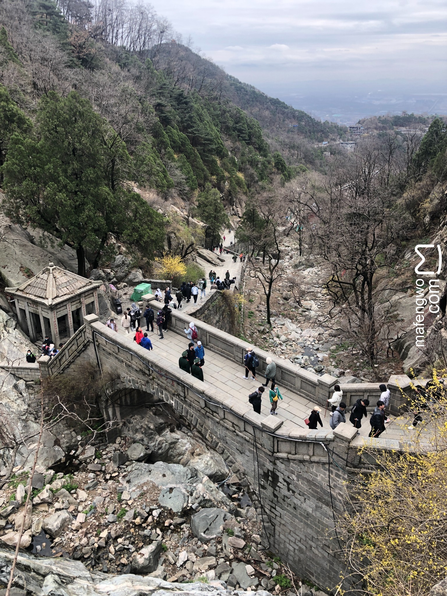 游泰安爬泰山观日出逛孔庙