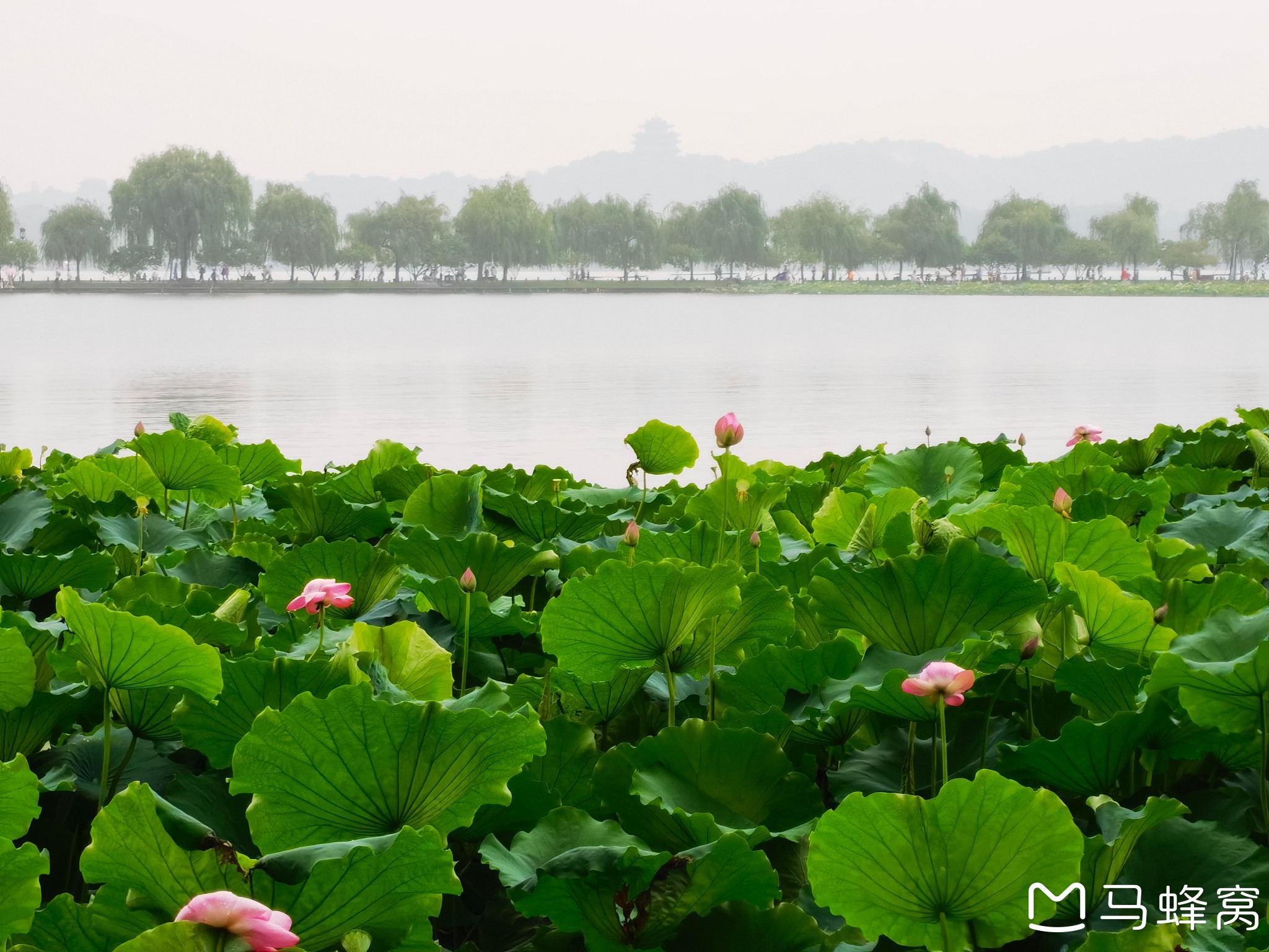 杭州西湖风景名胜区      