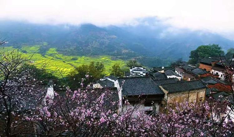 景德镇起止婺源鲜花小镇篁岭小桥流水人家李坑汪口外景地一日游纯玩不