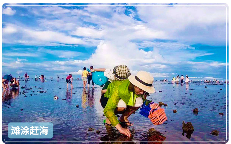 【滩涂赶海-帆船出海】厦门鼓浪屿沙坡尾曾厝垵南普陀6日品质游(筼筜