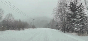 亚布力又双叒叕下雪啦!_游记