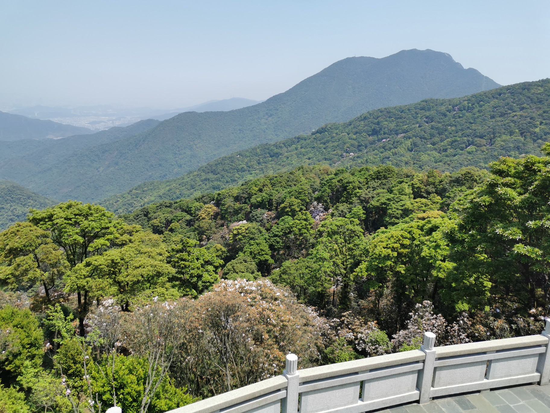 深圳梧桐山