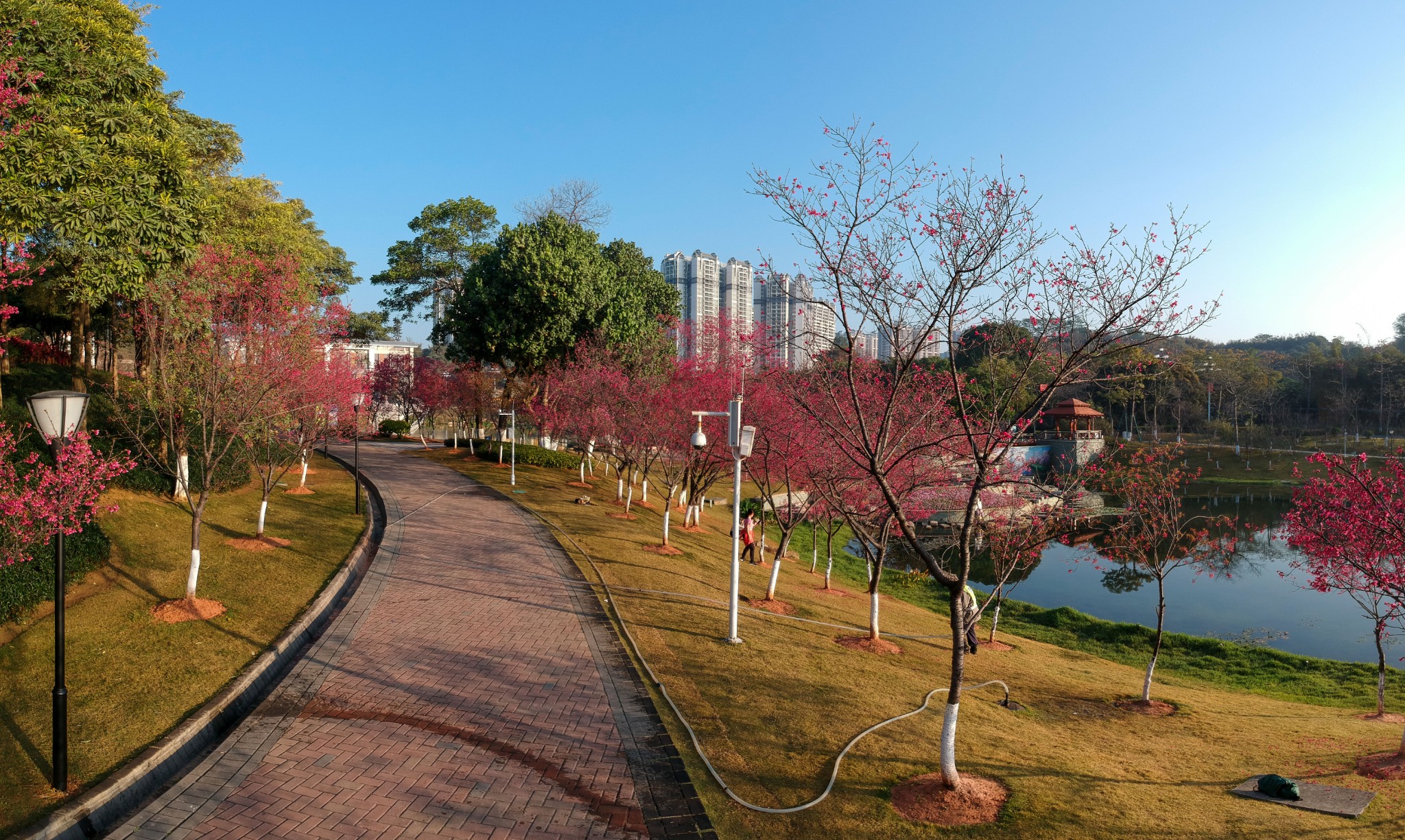 广州创业公园和市民公园市民广场