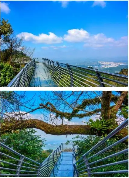 海南琼中海鼎百花岭雨林文化旅游区门票/成人门票 往返观光车票/高空