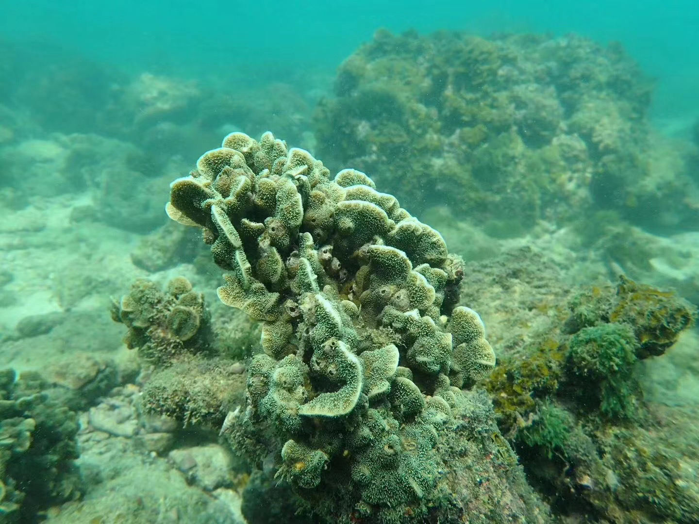 广西南宁/北海涠洲岛/北海海底潜水/体验深潜/水肺潜水【含潜水装备