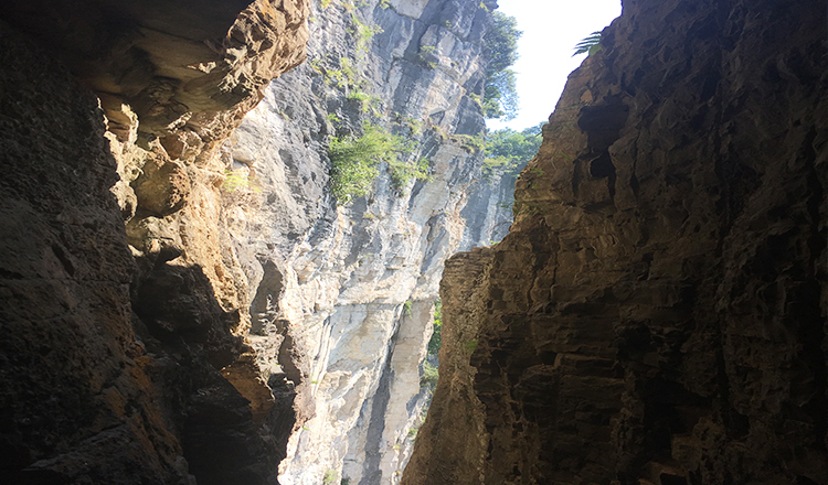 恩施野三峡风景区 黄鹤桥峰林 清江蝴蝶崖一日游【含清江大峡谷船票】