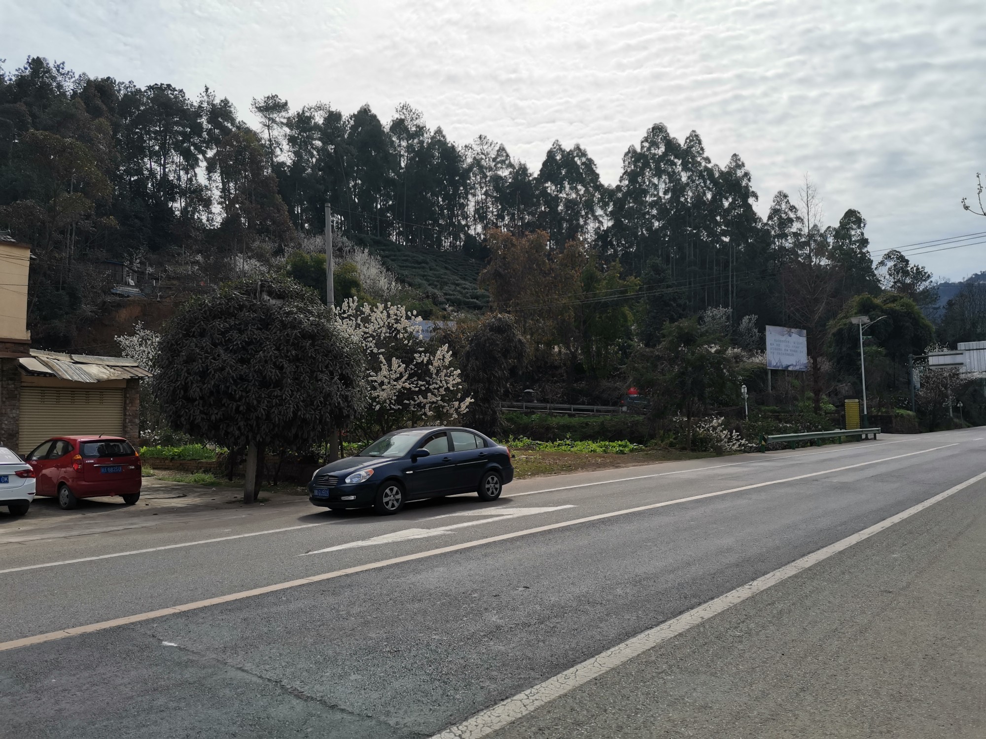 成都周边自驾游～蒲江县樱桃山景区,2021年2月17日.