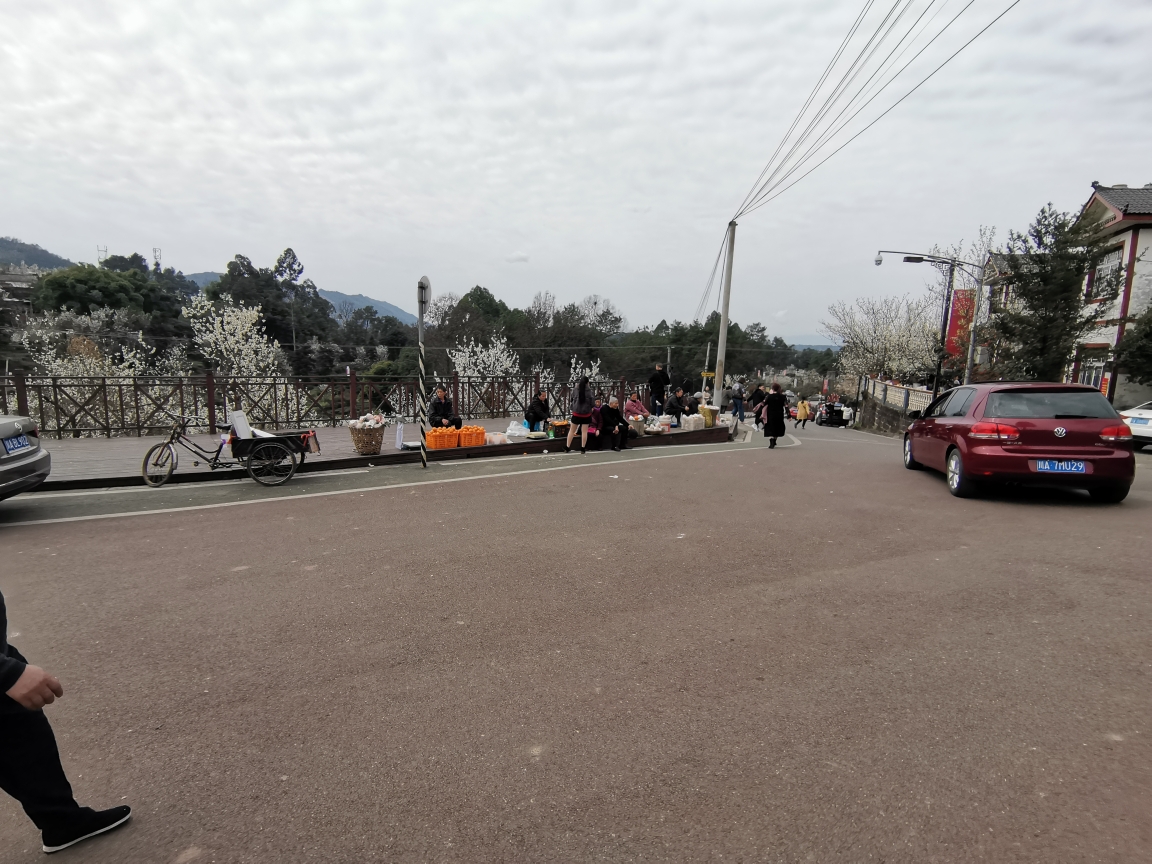 成都周边自驾游～蒲江县樱桃山景区,2021年2月17日.