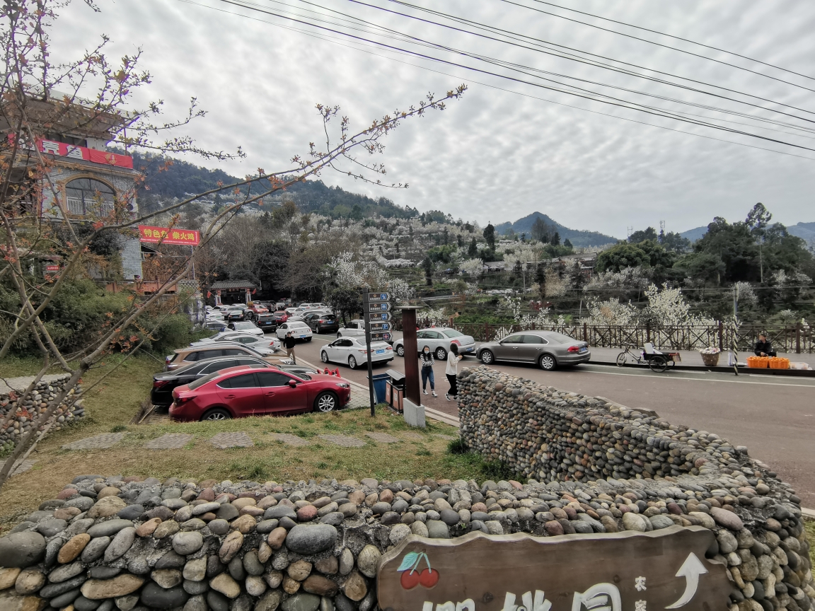 成都周边自驾游～蒲江县樱桃山景区,2021年2月17日.