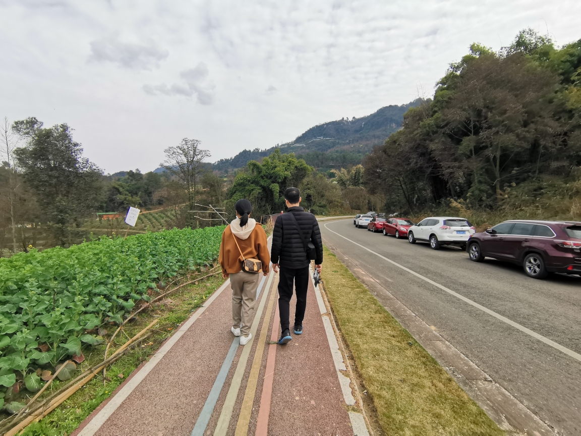 成都周边自驾游～蒲江县樱桃山景区,2021年2月17日.