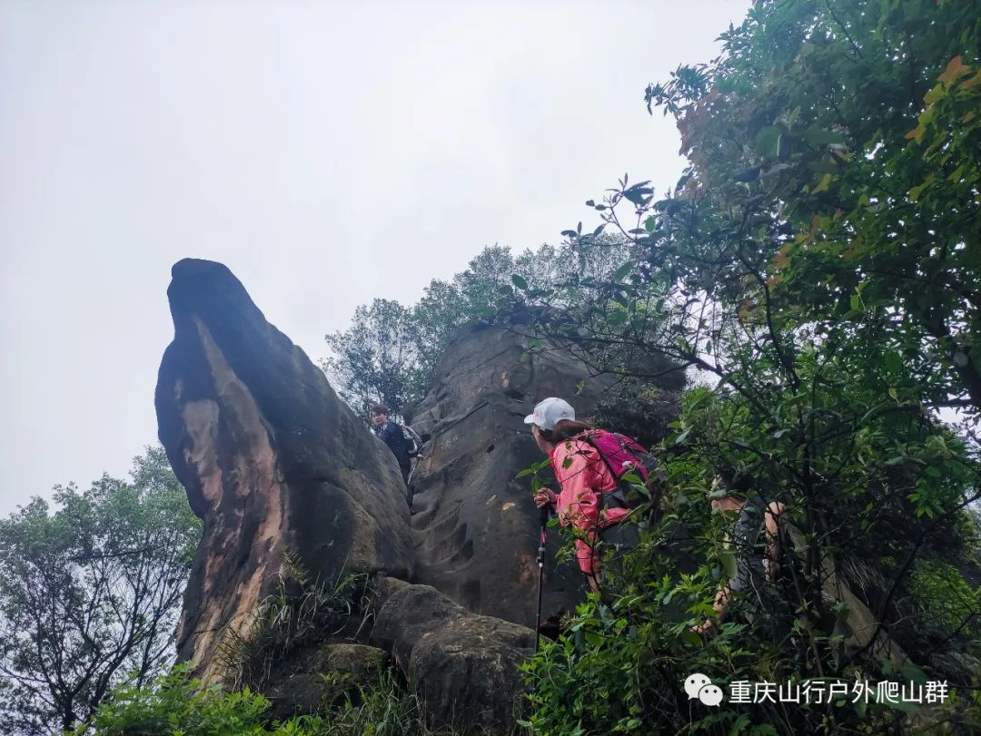 山行游记-探路重庆虎峰山:只为找到