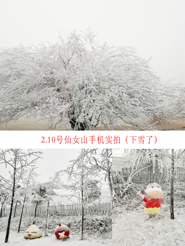 先预览2月10号仙女山雪景实拍图