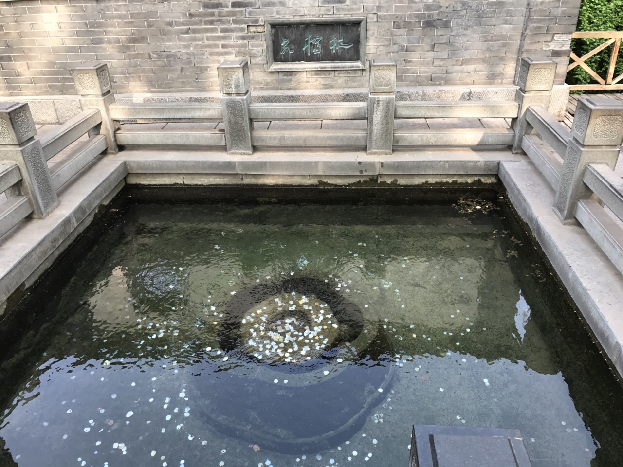 趵突泉