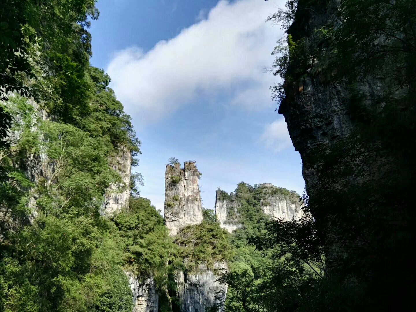 施秉县 城的东街与 舞阳 河路的交叉路口的公交站(广场欣园)有专线车