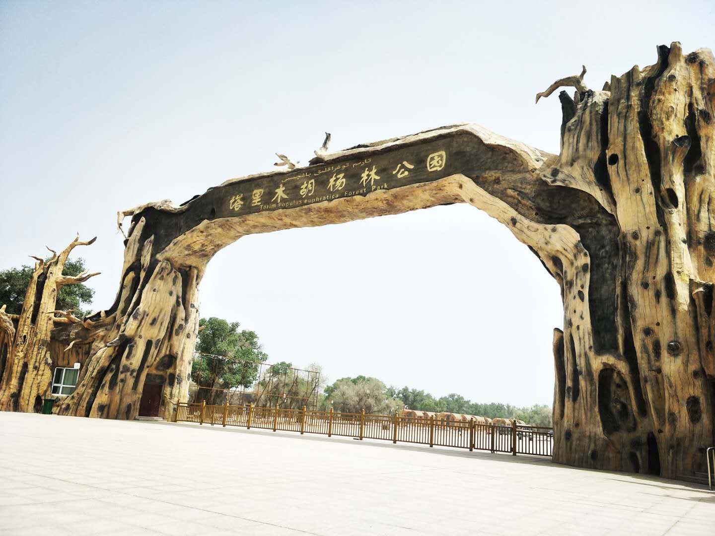 塔里木胡杨林公园       
