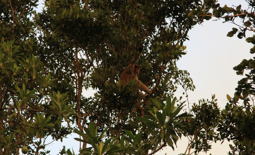 马来西亚沙巴游记攻略,沙巴自助游攻略