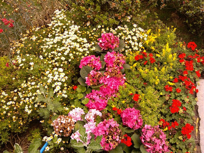 武汉什么时候有菊花展 wKgB3FCPhYqAQUmbAArw1al5Mk079.jpeg?imageView2%2F2%2Fw%2F680%2Fq%2F90