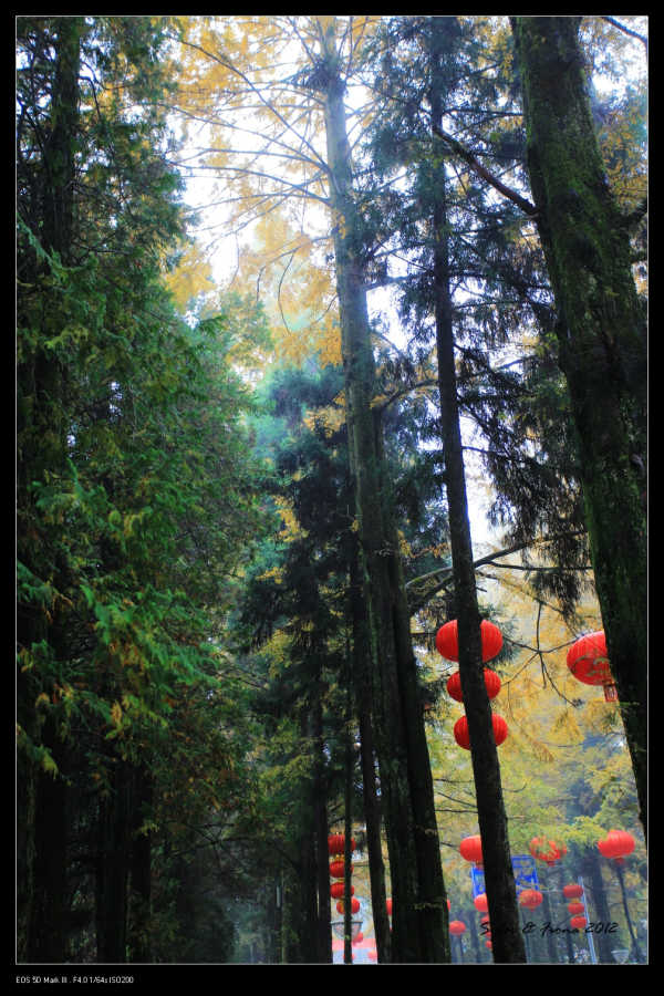 井冈山图片真实照 wKgB3FCkfG2AHvNAACAE7_iqzxM62.jpeg?imageView2%2F2%2Fw%2F600%2Fq%2F50