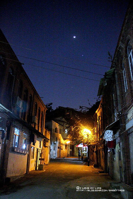 参天大树下空无一人的街道,多了一丝阴森的感觉