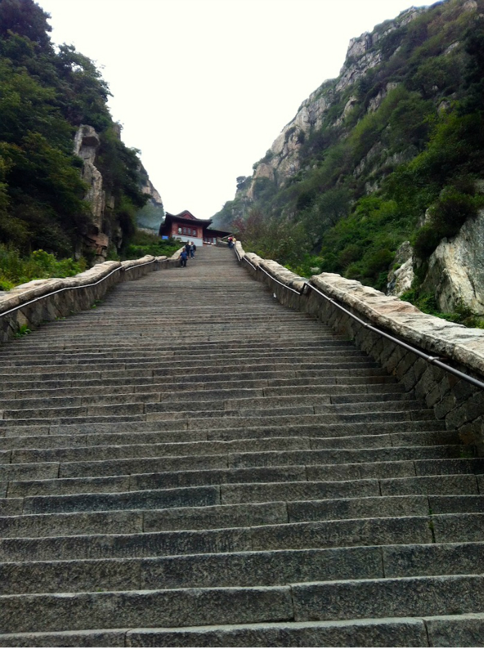 山东省旅游 泰山旅游攻略 9月 泰山   迎客松附近一个小狗子与我对视