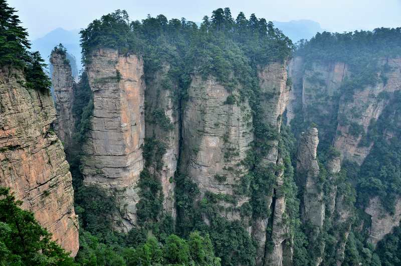 黑枞垴          