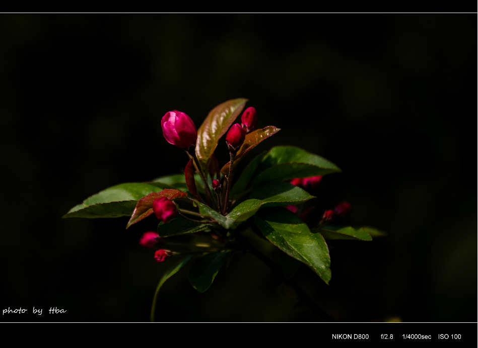 wKgB3FF9zlqALS8LAASd6u_46xM11.jpeg?imageView2%2F2%2Fw%2F600%2Fh%2F600%2Fq%2F90