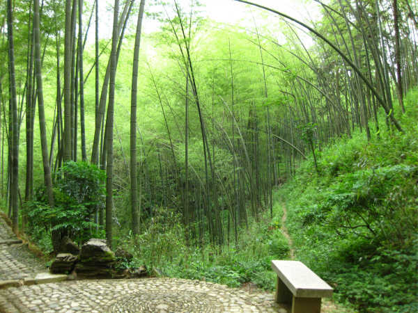 百竹园游玩攻略,百竹园游玩攻略一日游