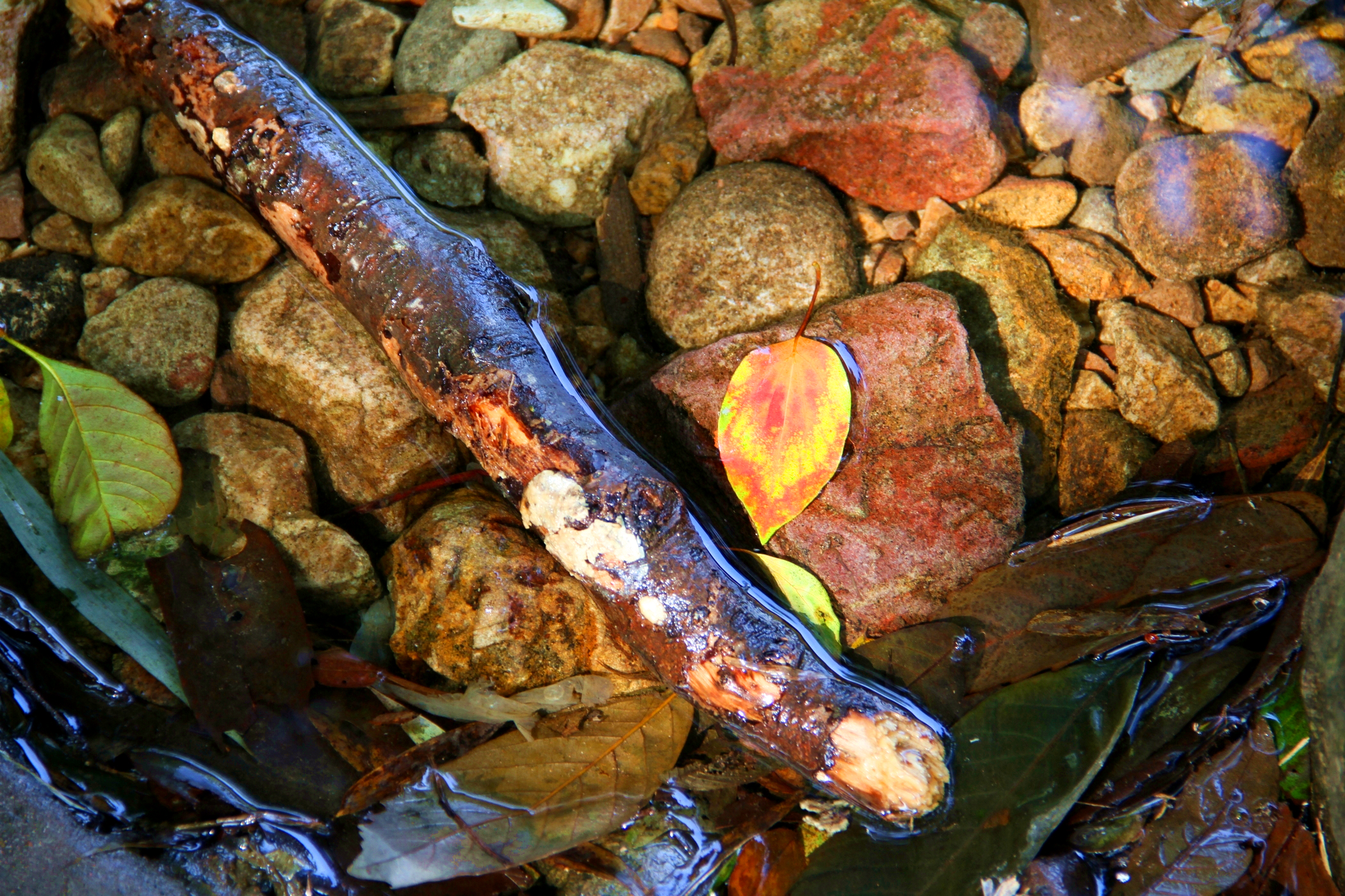 wKgB3FC51C-AD6YRAEXztUli2U048.jpeg?imageView2%2F2%2Fw%2F400%2Fh%2F400%2Fq%2F90