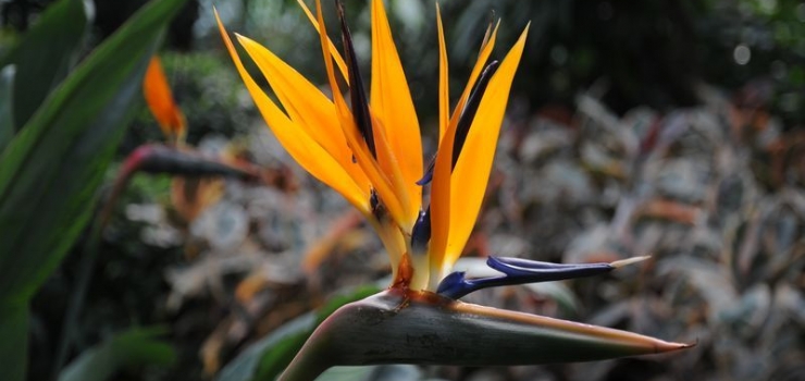 平顶山到北京旅游,平顶山到北京自助游攻略,北京旅游