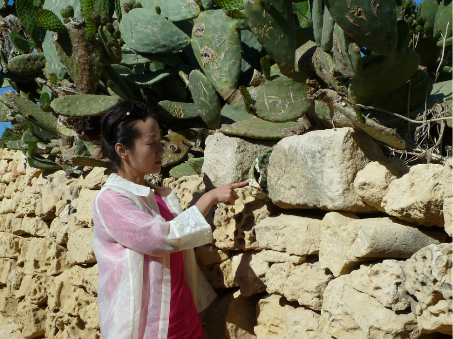 2013年5月马耳他的‘风之旅’,马耳他自助游攻略