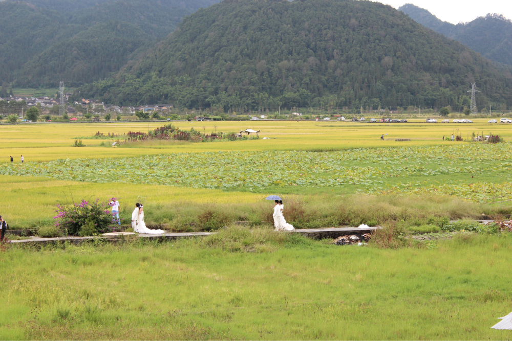 宾川有多少人口_宾川鸡足山