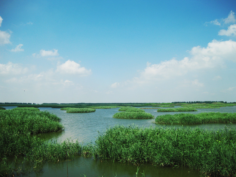 巨淀湖风景区