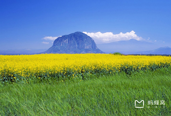 啥时候种油菜最好 wKgB4lMViMCAFCt6AAVlgEv1dY8457.png?imageView2%2F2%2Fw%2F600%2Fh%2F2000%7Cwatermark%2F1%2Fimage%2FaHR0cDovL2IyLXEubWFmZW5nd28ubmV0L3M5L00wMC82My84RS93S2dCczFaTmVzV0FZb29JQUFBU2JNMElpRjQyNDEucG5n%2Fgravity%2FSouthEast%2Fdx%2F20%2Fdy%2F20