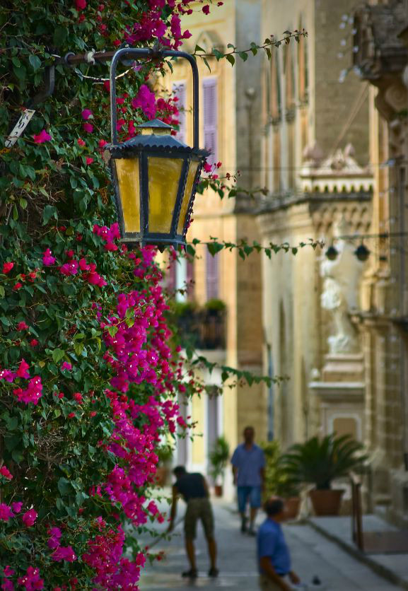 马耳他之第八更! Rolex middle race,热闹的帆船赛