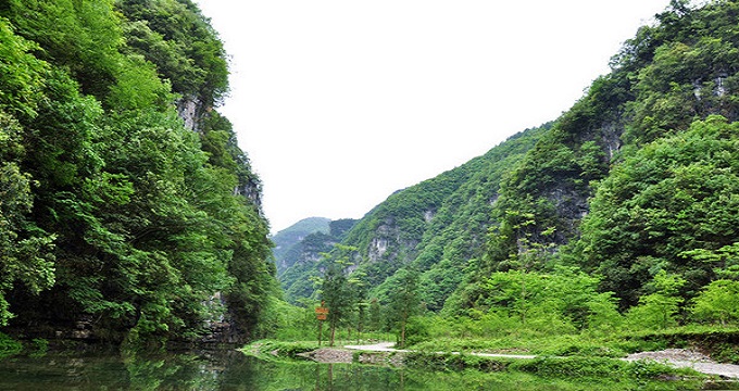 绥阳