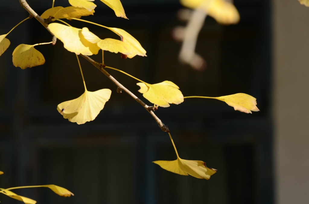 wKgB4lKbLPCAf7RsAAR04tK7RyE13.jpeg?imageView2%2F2%2Fw%2F600%2Fh%2F600%2Fq%2F90