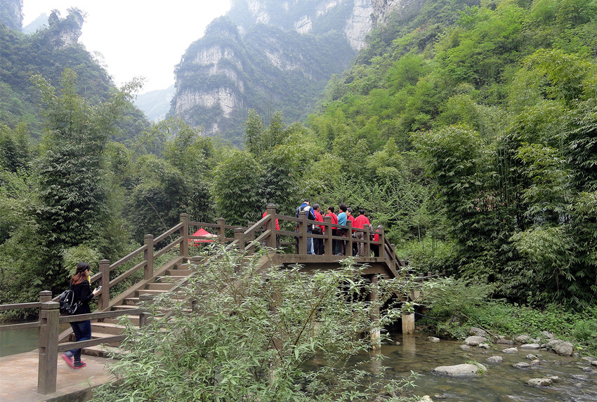 宜昌山水生态游·秭归竹海,宜昌旅游攻略 - 马蜂窝