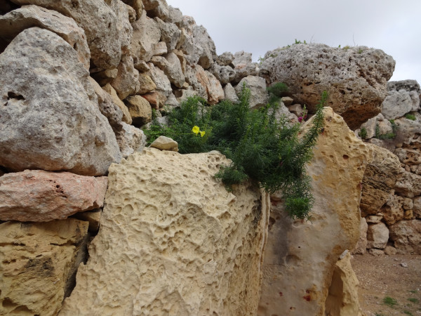 海洋之心马耳他~~(可以用脚丈量的国家),马耳