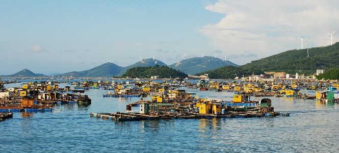 闸坡,位于广东阳江市闸坡镇东南,是海陵岛知名度最高的景点,四季气候