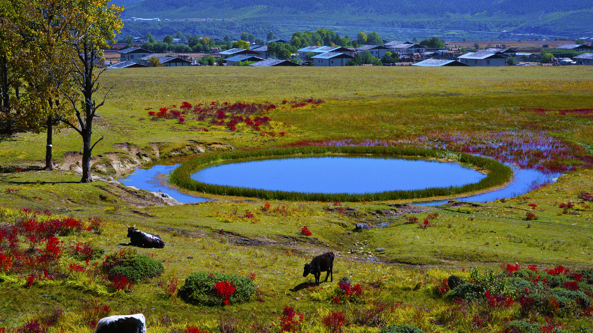 【六月旅游好去处】2023六月适合去哪里旅游，六月去哪里旅游好