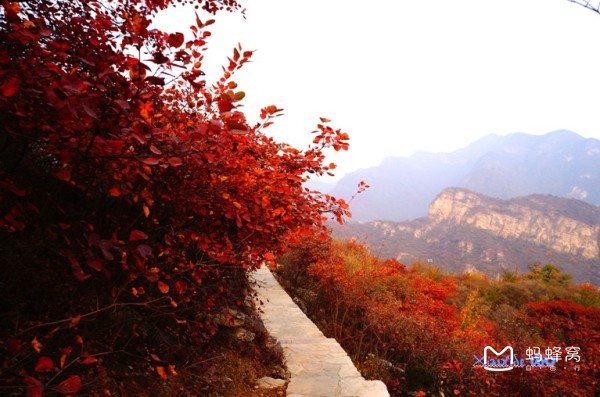 啥时候能看红叶 wKgB4lJz4rOALv_hAAIDYAfcXfw83.jpeg?imageView2%2F2%2Fw%2F600%2Fh%2F2000%7Cwatermark%2F1%2Fimage%2FaHR0cDovL2IyLXEubWFmZW5nd28ubmV0L3M5L00wMC82My84RS93S2dCczFaTmVzV0FZb29JQUFBU2JNMElpRjQyNDEucG5n%2Fgravity%2FSouthEast%2Fdx%2F20%2Fdy%2F20